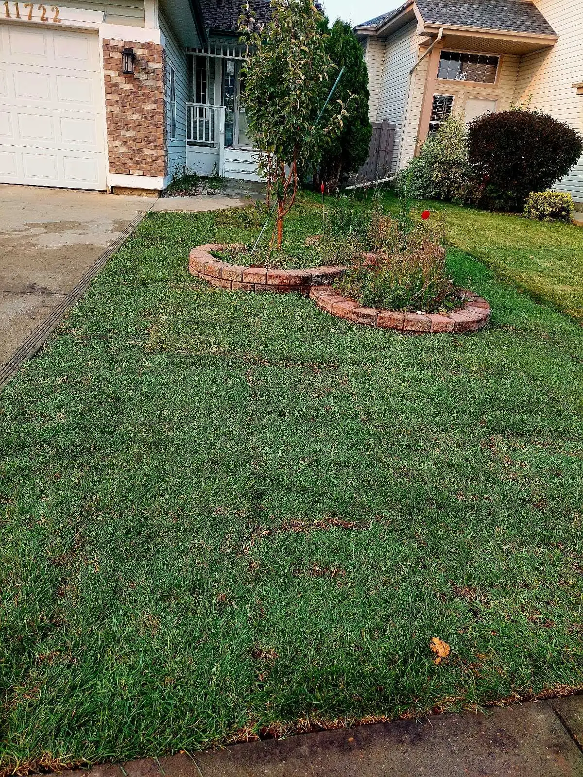 Sod placement and complete front yard grading look